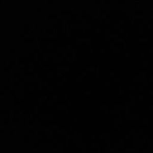 Meet your Posher, Brady